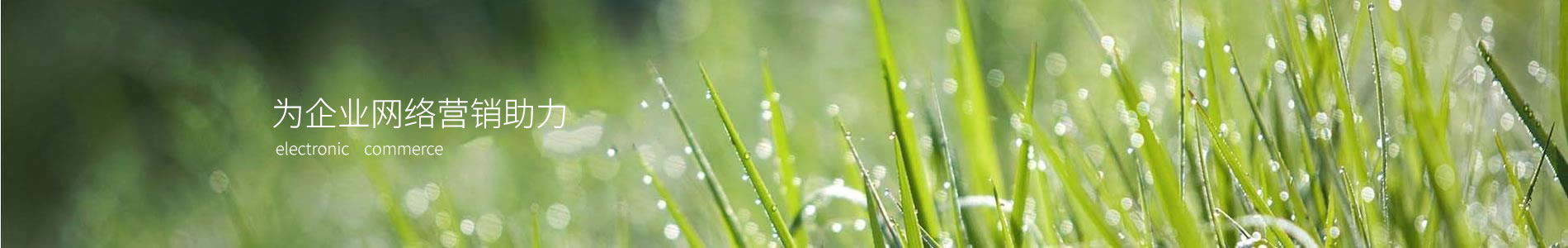 عƼ޹˾